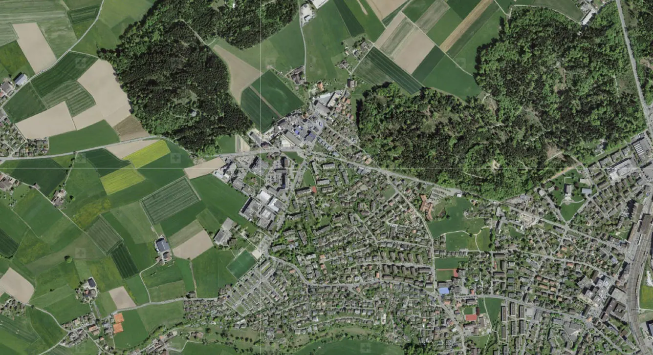 01 Orthobild