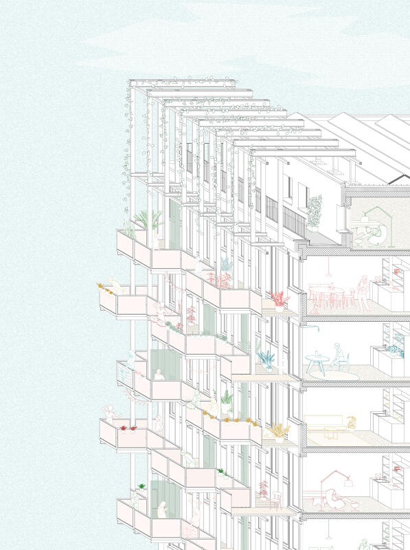 Konstruktionsschnitt