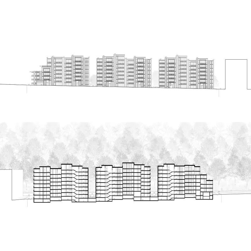 Flower Forest Sunshine. Wettbewerb Guggach II Zürich (2013), Schnitt und Anischt