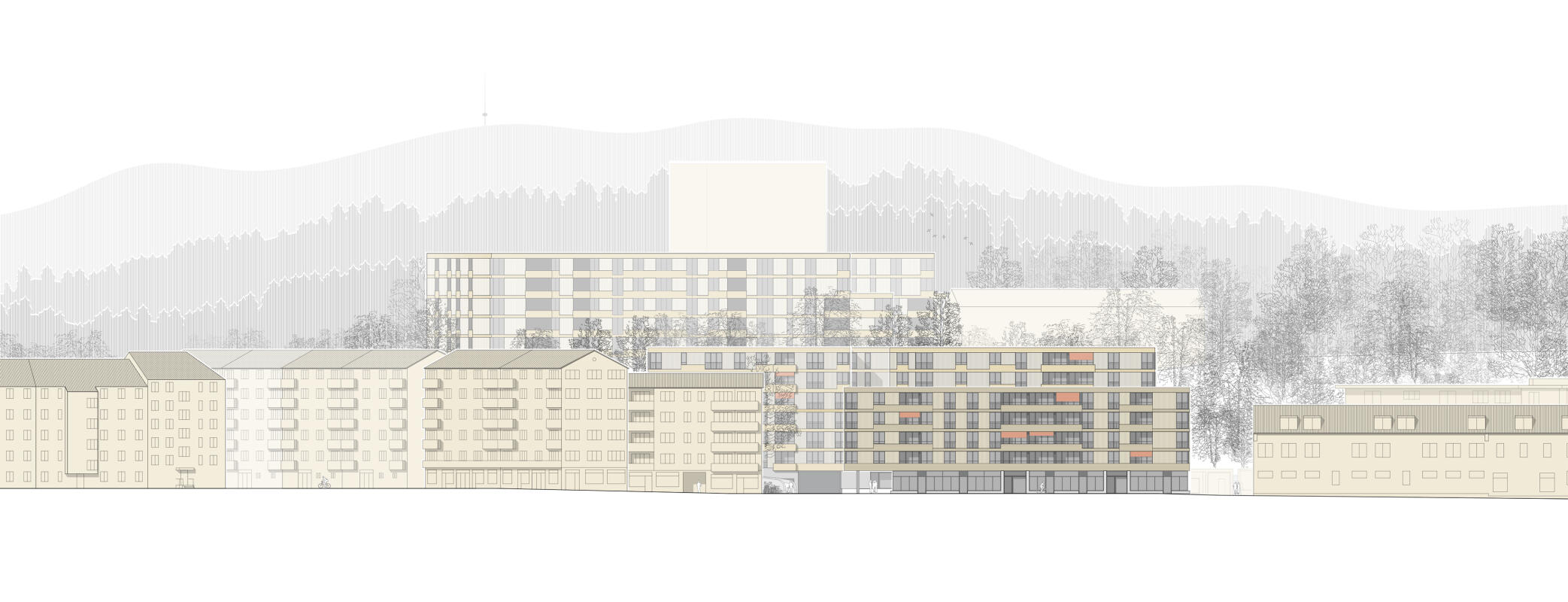 Fassade Austrasse