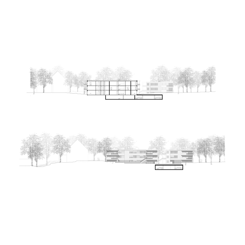 3 apartments. Tres amigos. Competition „Sandfelsen“, Erlenbach, Switzerland, 2009. – Elevations, sections.